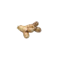 Ginger Thai Hybrid (Net Weight ± 10 gm) - 500 gm