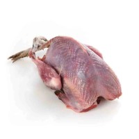 Pigeon (Kobutor) Meat - 1 piece