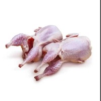 Quil (Koyel) Meat - 1 pcs