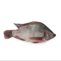 Telapiya Medium (4-5 PCs/ Kg)