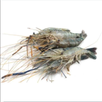 Golda (Chingri) -15-20pcs/-1 Kg