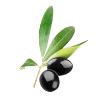 Jamun Fruits (Jaam) - 250gm