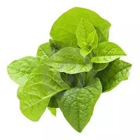 Pui Spinach -1 bundle