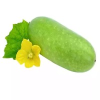 Water Pumpkin - each