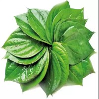 Betel Leaf - 30 pcs