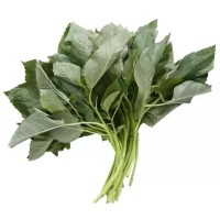Jute Spinach - 1 bundle