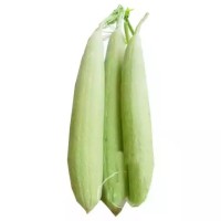 Sponge Gourd - 500 gm