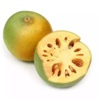 Wood Apple (Bel)  - each