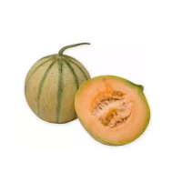 Musk Melon (Bangi) - each