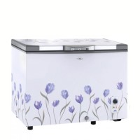 Walton-WCG-2E5-RXLX-XX-255 Ltr